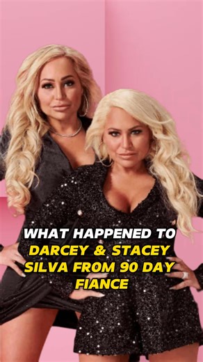 129K views · 806 reactions | What Happened to Darcey & Stacey Silva From '90 Day Fiance'? #darceysilva #staceysilva #90dayfiance #tvstars #stars #tvshow #happened #usa_tiktok #trending #celebrity #foryou #fyp | Odette Spotlight On Stars | Facebook