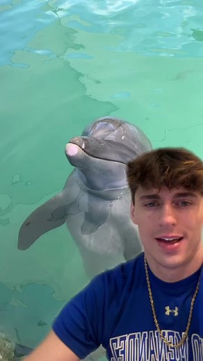 NoahGlennCarter on TikTok