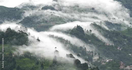 Time-lapse footage of a sea of fog moving in waves between trees in a forest.