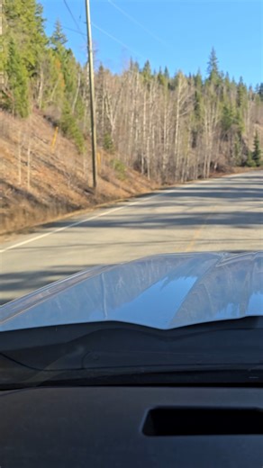 👀 Check out these 2 new lot listings in Quesnel — flat, usable, and close to town. Which one fits your plans? #1) 2830 Red Bluff Road – 3.9 acres 📍 A couple lots from NCCS & ~5 minutes to town 📐 Super flat, mostly cleared, driveway in 🛣️ Paved road, gorgeous setting, premium lot ➡️ Watch the quick clip and DM for the map info pack. #Quesnel #RedBluff #Acreage #QuesnelRealEstate #TeamBurbs #2) Lot 1 Pioneer Road – 5.11 acres (Stacey Bowden) 🌲 Private freehold parcel with loads of space to bu