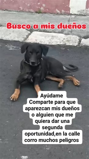 33 shares | Caso externo NOS REPORTAN LOS VECINOS DESDE Mapasingue...