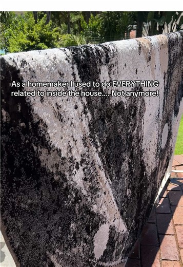 Delegating Household Chores: A Homemaker's Journey