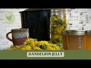 Dandelion jelly | Pomona's pectine | Wild edible