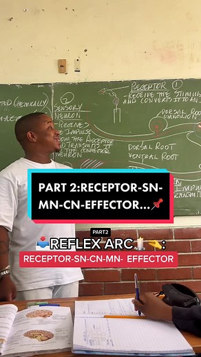 Life Science Grade 12: Human Nervous System and Reflex Action