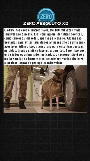 O olfato dos cães é incrível! 🐕