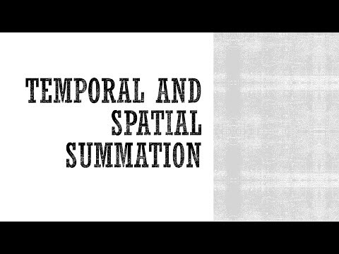 Temporal and Spatial Summation