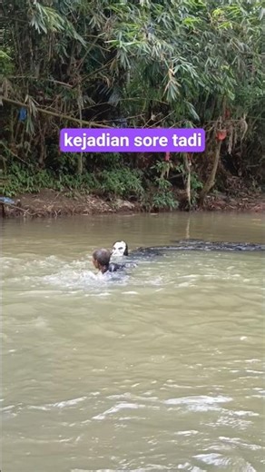 kejadian menegangkan di hutan #alamliar #petualangan #mengerikan