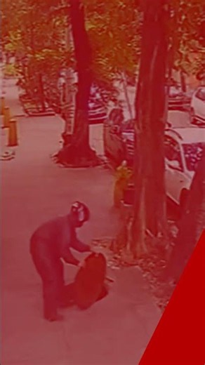 Horrifying Moment Woman Plummets Into Manhole Just Weeks After Fatal Manhattan Incident #shorts