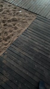 75K views · 1.9K reactions | 144_濫 Don’t puke on your dress PART 2 @lauryndagostino #fypシ #coupleprank #wedding #gagging #ootd #funnyvid | Big Daddy Little Laur & Marco D’Alessandro | Facebook