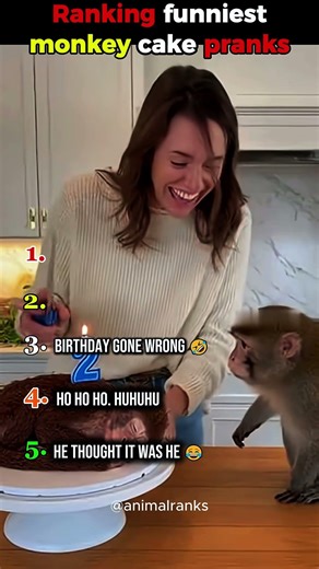 Ranking the Funniest Monkey Cake Cutting Moments 😂🎂🐒 | Too Funny!#viral #shorts #trendingshorts