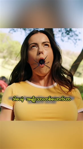 Movie Recap: Highlights and Insights