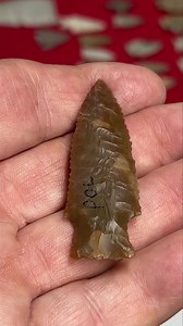 1.1K views · 87 reactions | Beautiful Eagle Lake! We used to call this style Darls back in the earlier days but with the oblique parallel flaking (and science) they found these were from paleo times and have given them their own name. | Digging Texas | Facebook