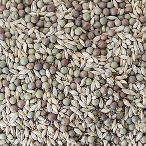 Spring Mix Cover Crop Seeds – 1 lb (~9,600 Seeds