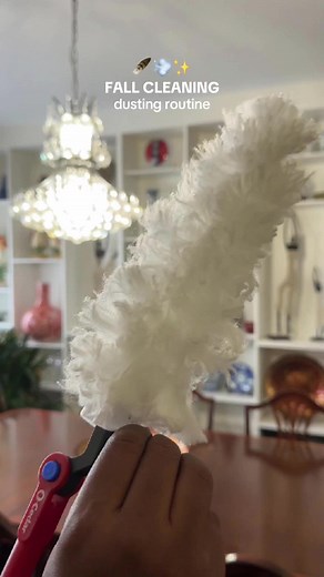 Fall Cleaning Routine 🍂✨ With the change of seasons, it’s time for a deep fall cleaning! I decided to put the new @O-Cedar 🇺🇸 (@Vileda.CA 🇨🇦) Flex & Catch Duster to the test at my mom’s house, and wow—it made the job so much easier! She has this beautiful crystal chandelier, tons of art collectibles, and both ceiling and oscillating fans, which gather dust quickly. This duster handled it all with ease! Here’s why you’ll love it: 1️⃣ Crystal Chandeliers: Dusting delicate pieces can be a hass