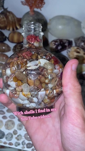 Guess How Many Tiny Shells are Inside this Micro Shell Bottle!