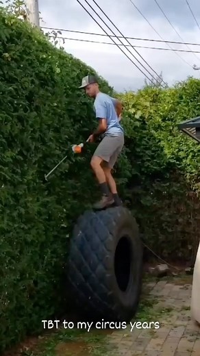 Phil Léger on Instagram: "PRE #hasegawaladders ….. Not gonna lie, this felt safer than most ladders out there ! #TBT to when when I was younger and less wiser 🤪 circa 2017 #reels #fyp #crossfit #nature #hedge #explorepage"