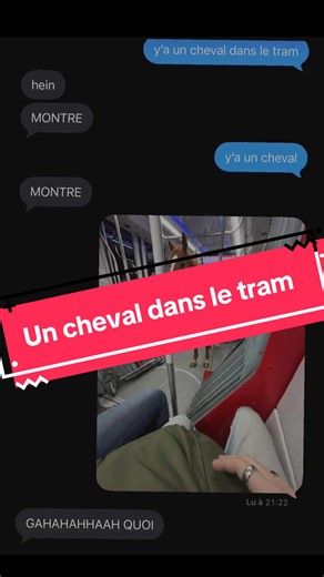 « Il y a un cheval dans le tram » 🤣 #vinted #insolite #humour #drole