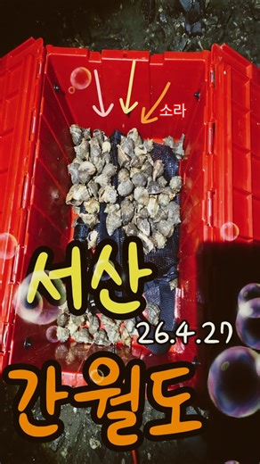 26년4월27일 서산 간월도 무엇이잡힐까?!다녀왔습니다