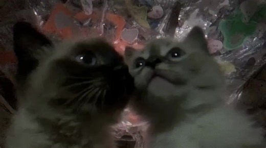 actually you and me against the world $somnicore on pump | pump cover