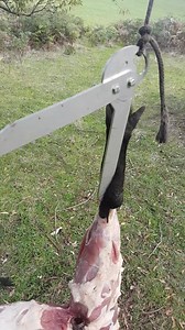 4.1K views · 27 reactions | Available @ www.huntcatchcook.com.au | Hunt Catch Cook | Facebook