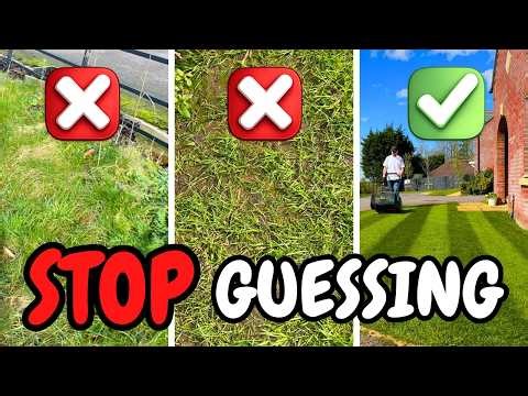 What Your Lawn REALLY Needs This Spring (Most People Get This Wrong)