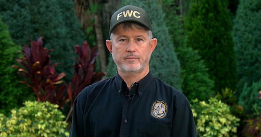 Disney resort alligator attack is "extremely rare"