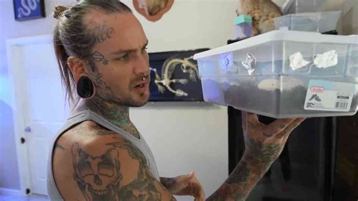 The reproductive milestone that signals a major success for the enclosure