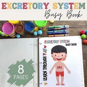 Excretory System Anatomy Busy Book Quiet Book Preschool Elementary Homeschool