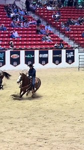 3 steers… 3 steers to show you live of what this horse has been and done in the last two years of his career. ALL YOURN handled the preview like the true athlete he is. Calm, cool, collected and TALENTED. We are so honored to be offering this horse TODAY exclusively at the Riata Showcase. Call us with any questions before it’s too late! 417-331-9125 | Lane Cooper Realtor & Rope Horses
