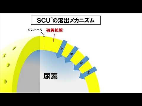 【サンアグロ】硫黄被覆 肥料 ＳＣＵ 海洋 プラスティック 対応肥料 脱 マイクロ プラ 肥料