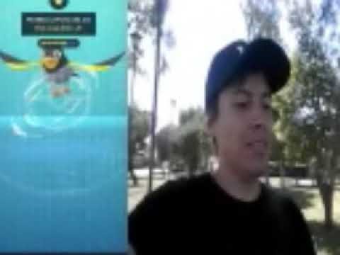Nuevo pokemon ave y nuevo registro