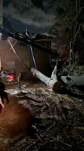 Southern Cutts Tree Service on Reels