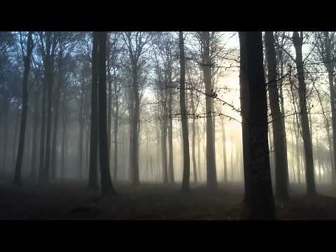 Slender Man - Credits Soundtrack