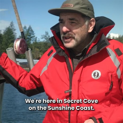 🧡 Happy Wild Salmon Day! Check out this video of Dylan from EatWild as he shares some encouraging news: wild coho salmon are returning in healthy numbers in his area. 🐟✨ While many factors are at play, the removal of open-net pen salmon farms is one change that likely supported their hopeful returns. Take a second to email your elected officials to remind them to remove the remaining factory salmon farms from B.C., like they promised. 👉https://www.safesalmon.ca/take_action EatWild #wildsalmon