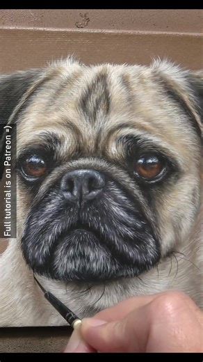 5.9K views · 225 reactions | This little 5" x 7" acrylic painting was a great project to practice more control with the brushes. Working small can still achieve a good level of realism if the details aren't over done and the techniques are right. A smoother surface will make it much easier for these small paintings and tiny details. | Zara's Pet Portraits & Wildlife Art | Facebook