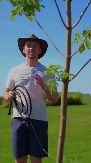How Indiana Jones Grabs Things With a Bullwhip