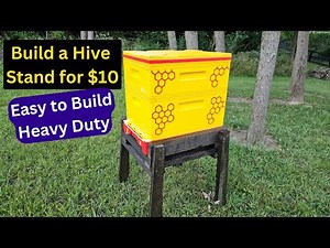 How to Build a Hive Stand