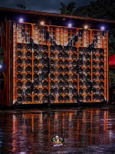 #dancemania #somaltomotivo #fly #viralnotiktok🔥👊