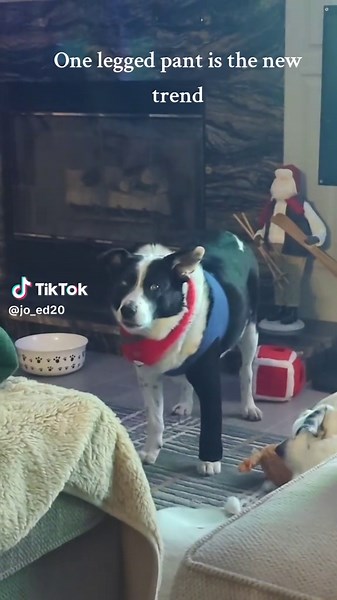 Eddie and Jordy on TikTok