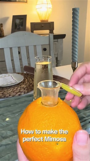 YZC Lemon Squeezer I Never Knew Juicing Could Be This Easy 🍋#amazonfinds #juicing #kitchengadgets