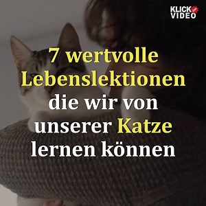 27K views · 247 reactions | 7 wertvolle Lebensweisheiten, die wir von unseren Katzen lernen können | KlickDasVideo | Facebook