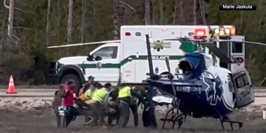 2 hikers attacked by bears at Yellowstone Park
