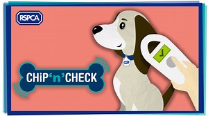 11K views · 170 reactions | Microchipping your dog normally costs...
