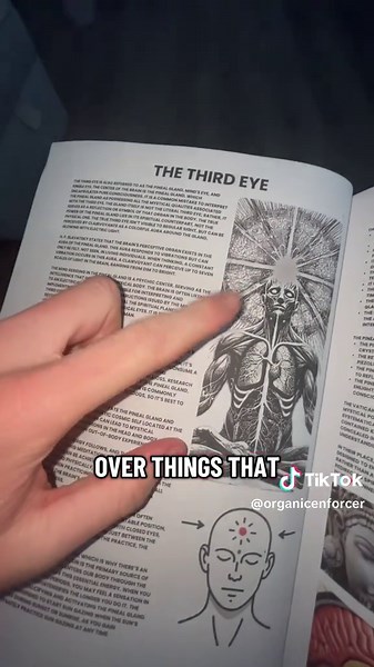 Discover the Secrets of the Banned Book