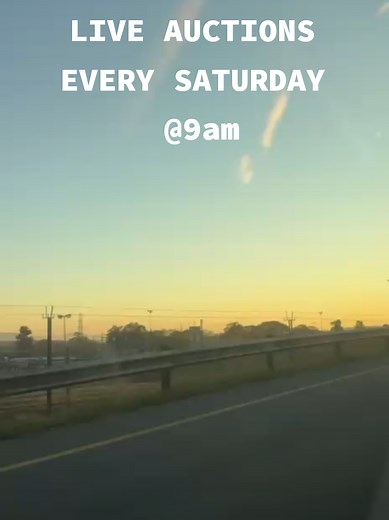 Live Auctions Every Saturday in Cato Ridge