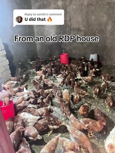 Replying to @serofo what matters most is starting, how we start doesn’t really matter. #uhm_mma_kamo #omodagirls #omodac5