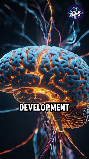 The First Baby Born in Space — What Would Happen? #space #shorts