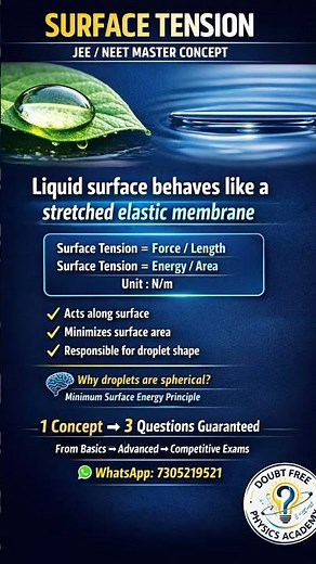 Surface Tension 💧 | Why Liquid Surfaces Behave Like a Stretching Skin‪@Doubt-Free-Physics‬