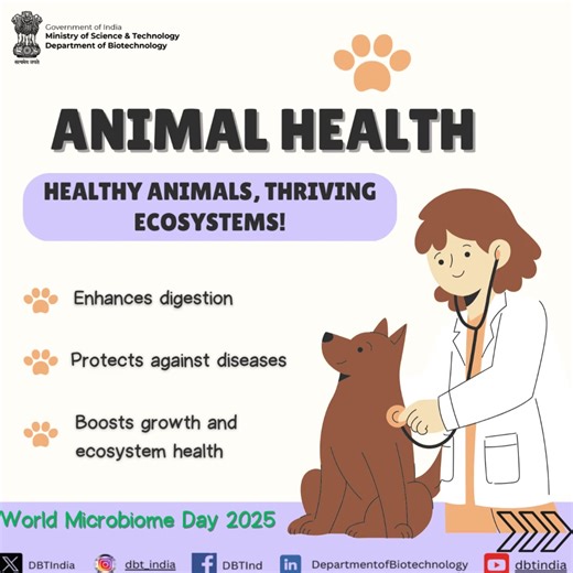 #WorldMicrobiomeDay2025 From your gut to the oceans, microbes play a vital role in sustaining life on Earth! Microbiomes aid digestion, boost immunity, support plant and animal health, regulate marine ecosystems, and influence biodiversity and climate. Department of Biotechnology, India, continues to support research and innovation to better understand and harness microbiomes for a healthier planet. #Microbiome101 #MicrobialDiversity Dr Jitendra Singh BRIC DBT - Department of Biotechnology BRIC 