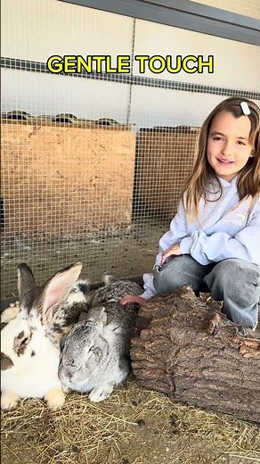 Kids Learn To Pet Bunnies Gently